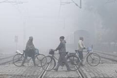 Weather Update: North India Wakes Up To Dense Fog Today, Rains Predicted In Eastern, Central Regions