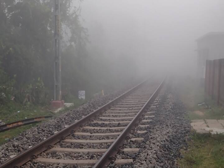Unprecedented fog in Cuddalore this morning கடலூரில் வாகன ஓட்டிகளின் கண்களை மறைத்த கடும் பனிமூட்டம்