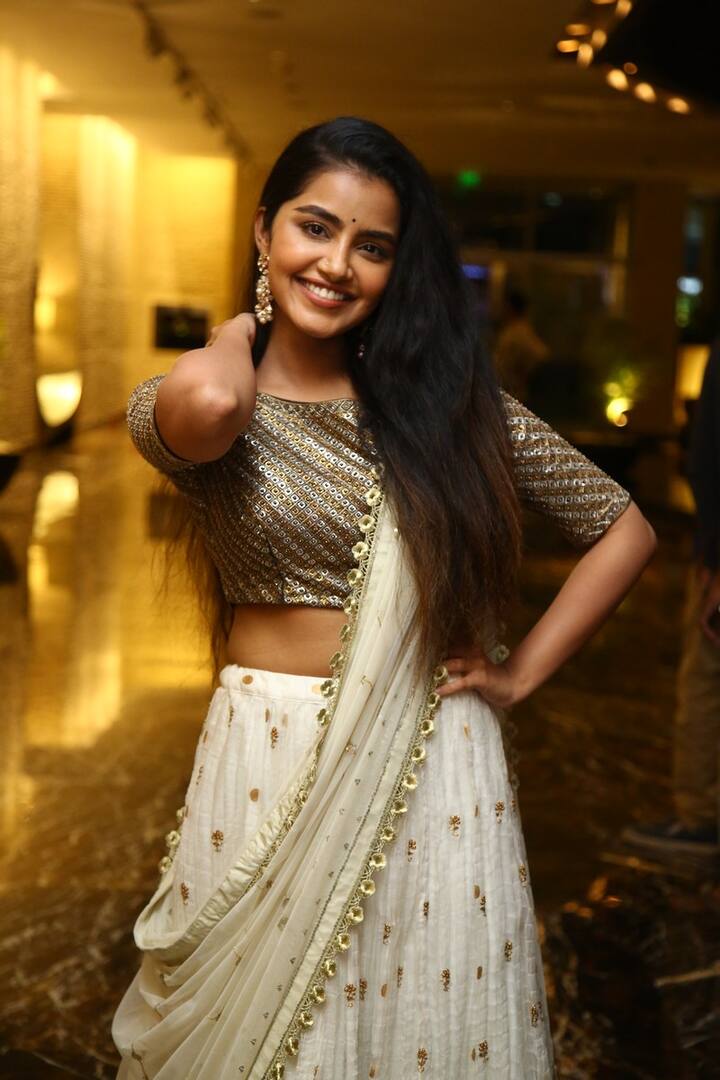 అనుపమ పరమేశ్వరన్