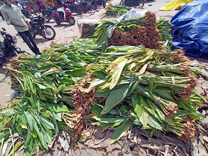 நாளை பொங்கலோ பொங்கல்...! - பானையை அலங்கரிக்கும் மஞ்சள் கிழங்கு விற்பனை மும்முரம்