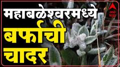 Mahabaleshwar:महाबळेश्वरमध्ये अनेक भागात बर्फाची चादर, महाराष्ट्रातील संपूर्ण भागात थंडी : ABP Majha