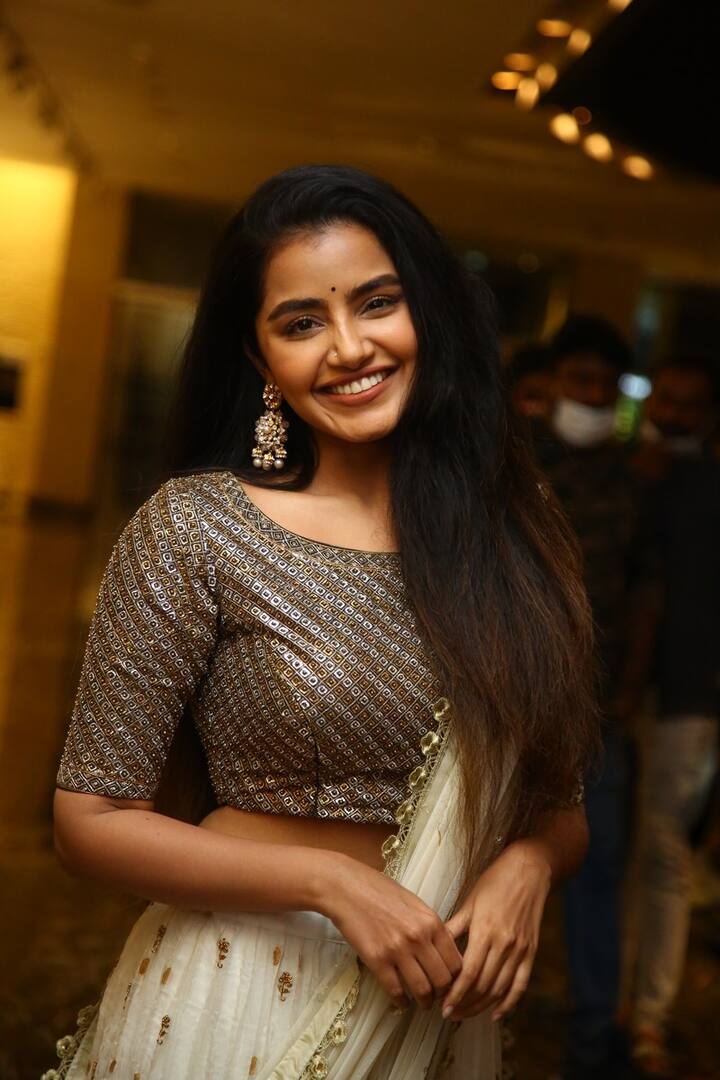 అనుపమ పరమేశ్వరన్
