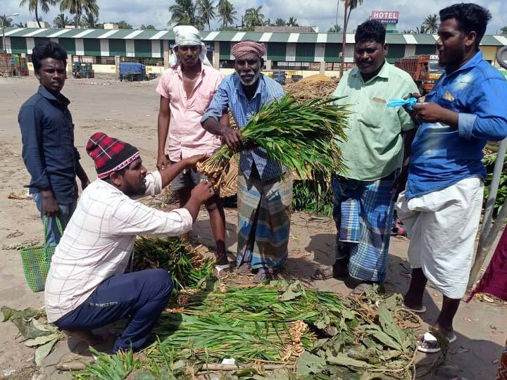 Pongalo Pongal tomorrow ...! - Pot Decorating Turmeric root is busy selling நாளை பொங்கலோ பொங்கல்...! - பானையை அலங்கரிக்கும் மஞ்சள் கிழங்கு விற்பனை மும்முரம்