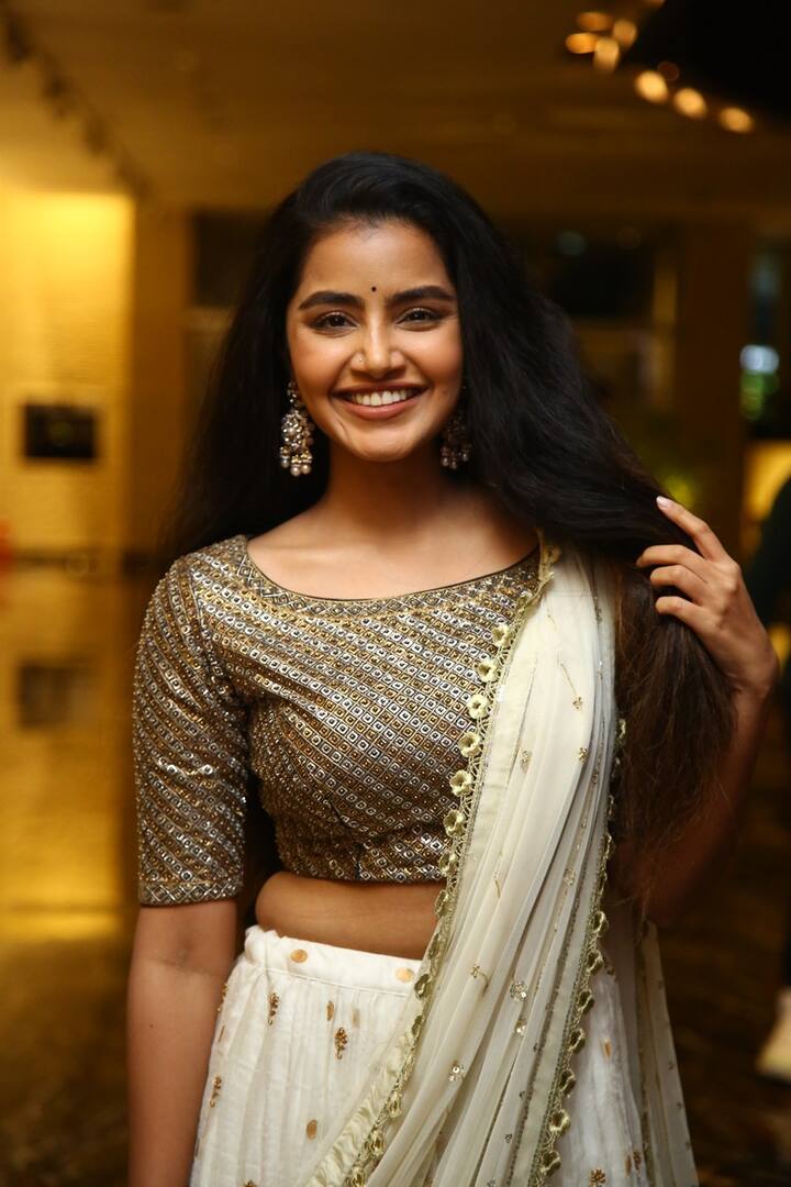 దిల్ రాజు ప్రొడక్షన్ లో 'శతమానంభవతి' తనకు ప్రత్యకమైన సినిమా అన్న అనుపమ.. ఆ సినిమా తరువాత తనను నమ్మి 'రౌడీ బాయ్స్' లో ఆఫర్ ఇచ్చినందుకు..మళ్ళీ అవకాశం ఇచ్చినందుకు దిల్ రాజుకు ప్రత్యేకంగా కృతజ్జతలు తెలిపింది అనుపమ.