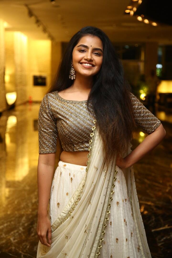అనుపమ పరమేశ్వరన్