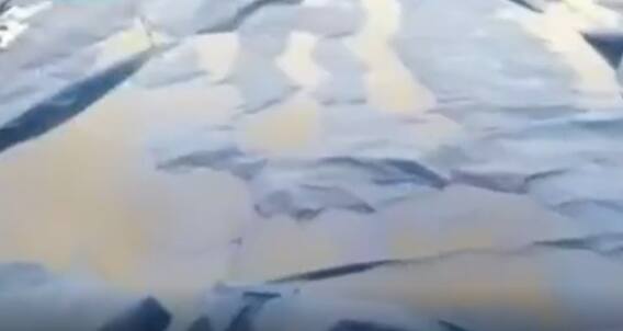 Jayashankar Bhupalpally Rains- వడగళ్ల వానకు విరిగిపోయిన మిర్చి మొక్కలు