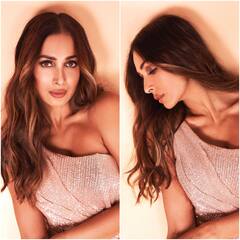 IN PICS| Malaika Arora Is Raising Oomph In This Shimmer Thigh-High Slit Dress