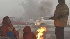 ગુજરાતમાં હજુ કેટલા દિવસ કડકડતી ઠંડી પડશે? હવામાન વિભાગે શું કરી આગાહી?