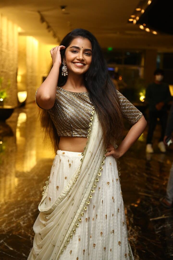 అనుపమ పరమేశ్వరన్