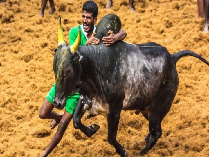 விறுவிறு ஜல்லிக்கட்டு போட்டிகள் நேரலை.. இணைந்திருங்கள் Abpநாடு-இல் எங்களுடன்...