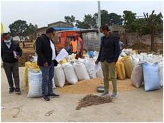 Surguja News: सरगुजा के किसानों के पास समर्थन मूल्य पर धान बेचने के लिए बाकी हैं इतने दिन, जानें डिटेल