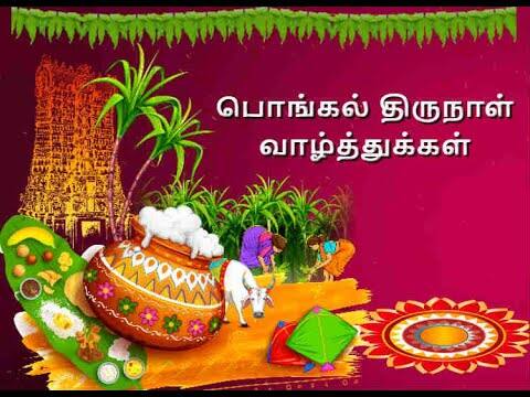 பல்வேறு தரப்பினரும் சோஷியல் மீடியாவில் பொங்கல் வாழ்த்துகளை பதிவிட்டு வருகின்றனர்