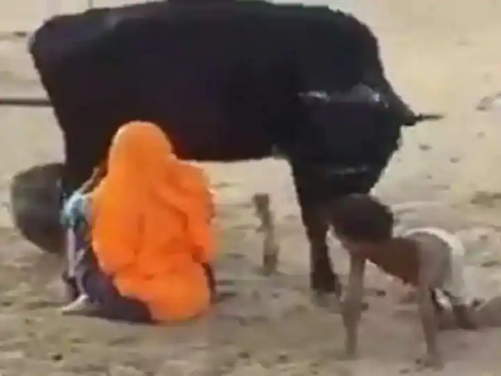 ਤੁਸੀਂ ਕਦੇ ਨਹੀਂ ਦੇਖਿਆ ਹੋਵੇਗਾ ਗਾਂ ਦੀ ਧਾਰ ਕੱਢਣ ਦਾ ਅਜਿਹਾ ਤਰੀਕਾ, ਮਹਿਲਾ ਦੇ ਦਿਮਾਗ ਦੀਆਂ ਹੋ ਰਹੀਆਂ ਤਰੀਫਾਂ