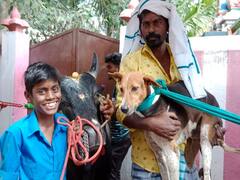 ராக்கியோடு வந்து அண்டா... குண்டாவோடு திரும்பிய கருப்புச்சாமி... இது ‛காளை-நாய்’ நட்பு பயணம்!
