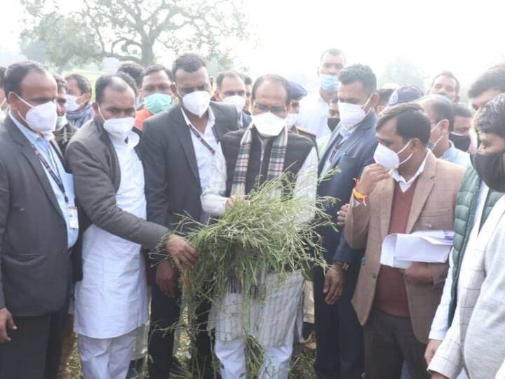 MP Shivraj Singh Chouhan said crops 50 per cent loss due to hailstorm, farmer relief at rate of Rs 30,000 per hectare MP News: मौसम की मार से किसानों की फसलों को नुकसान, अब शिवराज सरकार ने किया ये बड़ा एलान