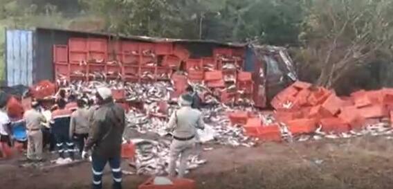 Tadepalligudem Lorry Accident: చేపల లారీ బోల్తా... పండుగ నాడే ఇలా ఎందుకు జరిగింది?