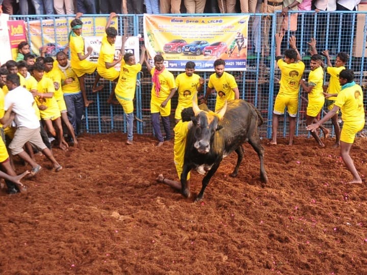 Jallikattu 2022: Tamil Nadu's Famous Bull Taming Sport Kick-Starts With COVID-19 Norms In Avaniyapuram Jallikattu 2022: Tamil Nadu's Famous Bull Taming Sport Kick-Starts With COVID-19 Norms In Avaniyapuram