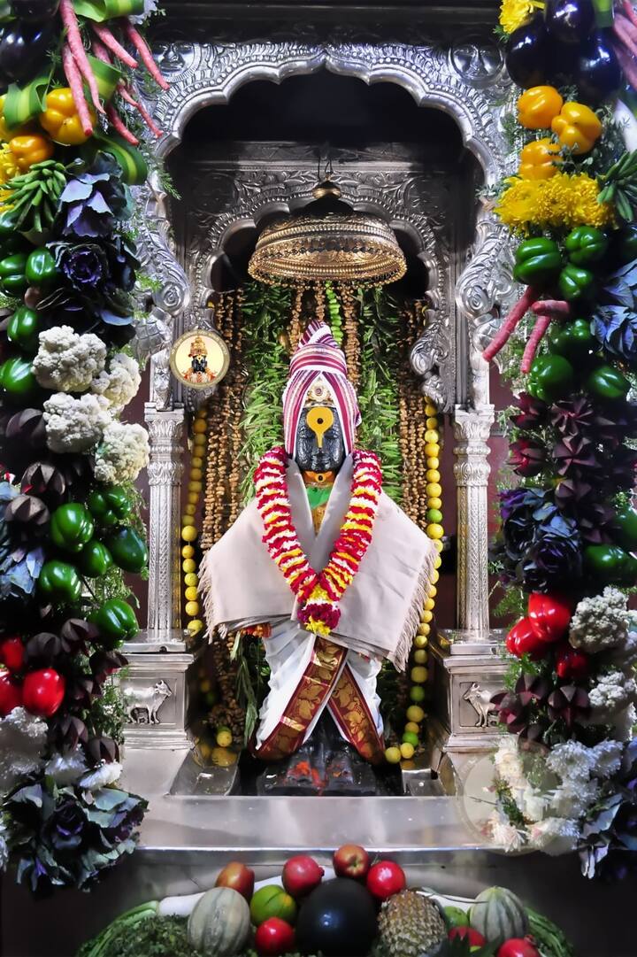 हे पाहून कांदा मुळा भाजी अवघी विठाई माझी या संत सावता माळी यांच्या अभंगाची आठवण होते आहे .