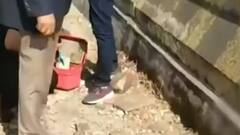 Alwar: गैंगरेप केस में सीसीटीवी से पुलिस को मिले अहम सुराग