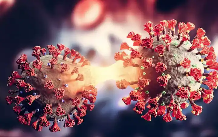 रैंडम सैंपलिंग में उड़े हेल्थ टीम के होश! सागर और नरसिंहपुर में डेढ़ दर्जन स्कूली बच्चे पॉजिटिव, अभी दर्जनों की रिपोर्ट आनी बाकी