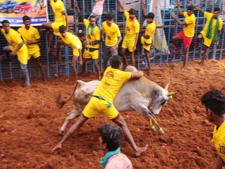 தை -1ம் தேதி நடைபெறும் அவனியாபுரம் ஜல்லிக்கட்டு போட்டி ஆல்பம்.