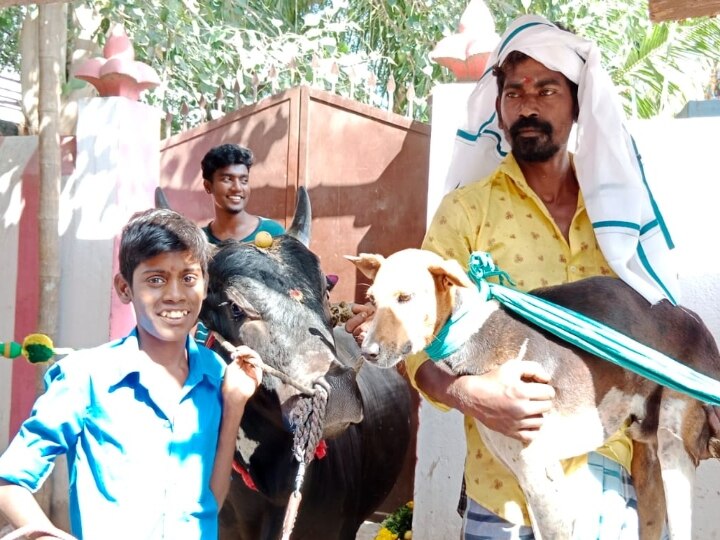 ராக்கியோடு வந்து அண்டா... குண்டாவோடு திரும்பிய கருப்புச்சாமி... இது ‛காளை-நாய்’ நட்பு பயணம்!