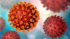 WB Corona: দৈনিক মৃত্যু যে হারে বাড়ছে শীঘ্রই সংখ্যাটি ৪০-৫০ হবে: চিকিৎসক দীপ্তেন্দ্র সরকার | Bangla News