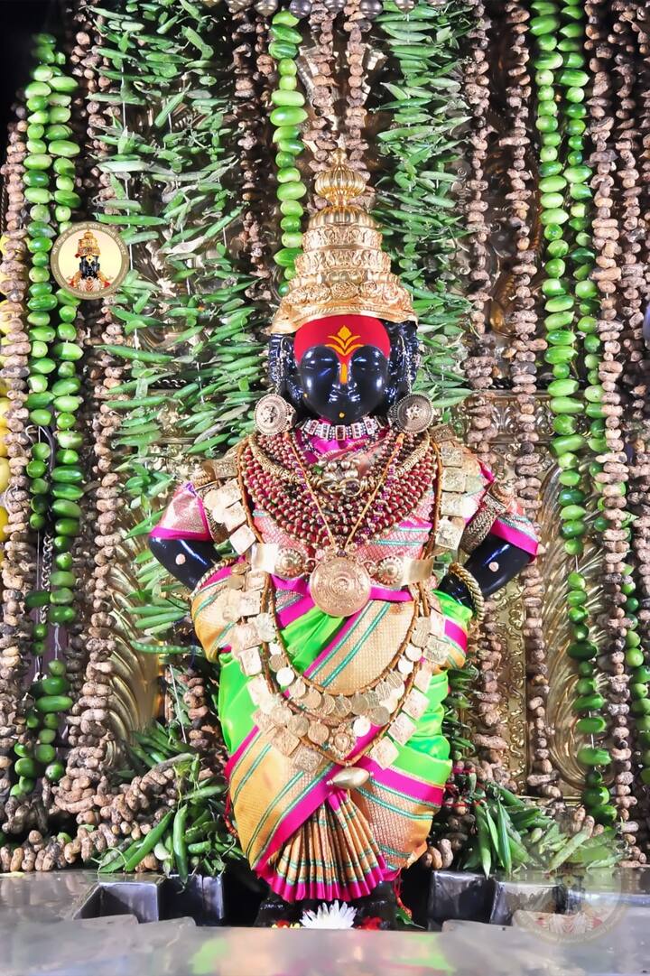 पुणे येथील विठ्ठल भक्त राहुल ताम्हाणे , राजू नाईक , सचिन शितोळे आणि अमोल शेरे यांनी विठुरायाच्या चरणी ही सजावटीची सेवा दिली आहे .