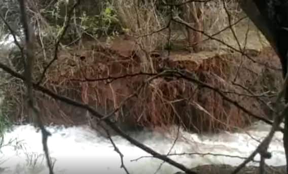 Krishna Rains: కృష్ణాజిల్లాలో భారీ వర్షాలు..పలు చోట్ల చెరువులకు గండి
