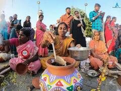 IN PICS | From Pongal To Makar Sankranti, People Across The Country Celebrate Festivals Today