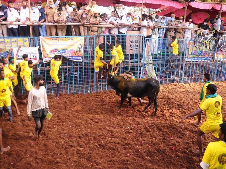 அவனியாபுரம் ஜல்லிக்கட்டு போட்டி புகைப்படங்கள்.