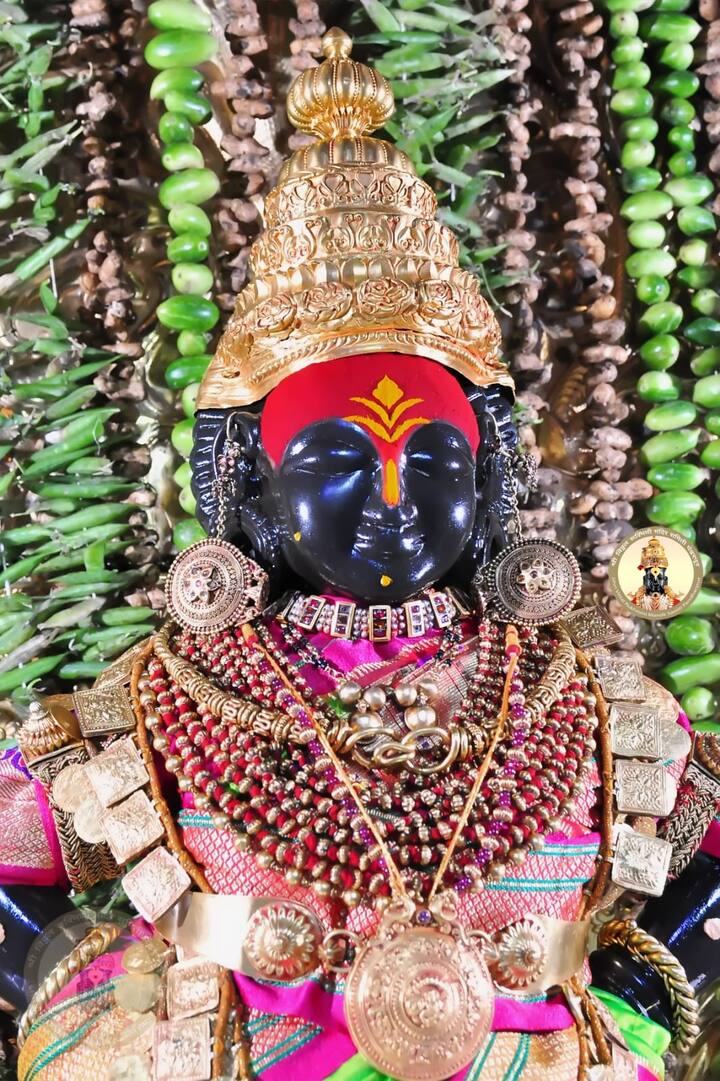 या सजावटीमध्ये गवार , भेंडी . फ्लॉवर , मुळा , गाजर , वांगी , कोबी , बिट आणि दोडका यासारख्या फळबाजा वापरण्यात आलेल्या आहेत .