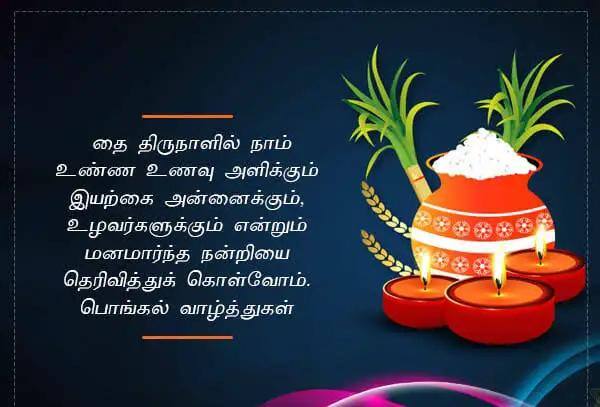 உலகத் தமிழர்கள் தமிழர் திருநாளாக பொங்கலை கொண்டாடுகின்றனர்