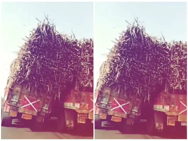 ਓਵਰਲੋਡ ਟਰੱਕ ਪਲਟਣ ਹੀ ਵਾਲਾ ਸੀ ਕਿ ਮਿਲ ਗਿਆ ਸਹਾਰਾ, ਲੋਕਾਂ ਨੇ ਕਿਹਾ 'ਤੇਰੇ ਜੈਸਾ ਯਾਰ ਕਹਾਂ'.......