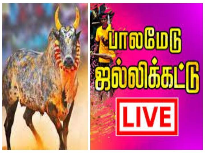 Palamedu Jallikattu Live 2022: Available at ABP Nadu Youtube and FB Page Palamedu Jallikattu Live | பாலமேடு பாய்ச்சலுக்கு தயாரா? இன்றும் இடைவிடாத நேரலை செய்கிறது உங்கள் ABP நாடு... HD தரத்தில் கண்டு ரசிக்க கிளிக் பண்ணுங்க!