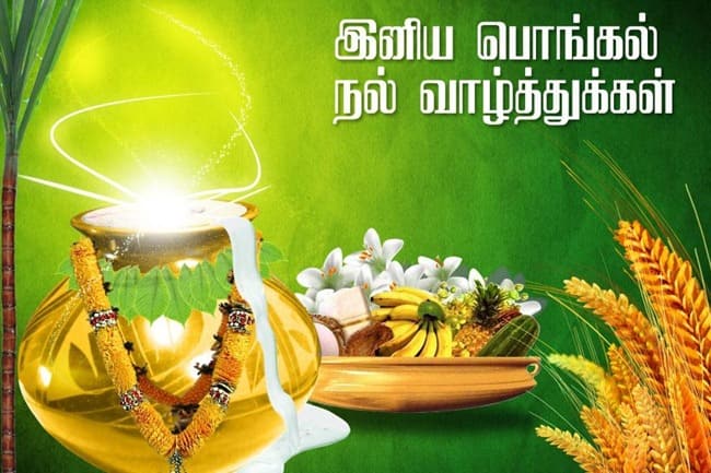 பொங்கல் தினத்தன்று புதுப்படங்கள் வெளியாகும்; சிறப்பு வழிபாடுகள் நடக்கும்