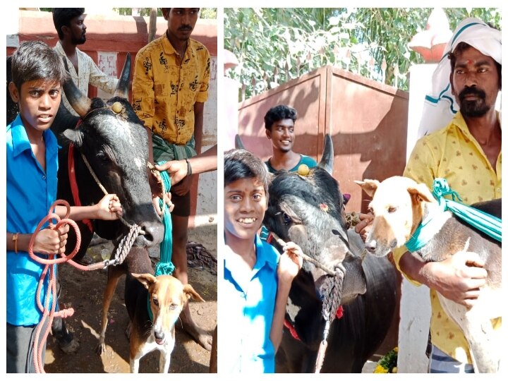 ராக்கியோடு வந்து அண்டா... குண்டாவோடு திரும்பிய கருப்புச்சாமி... இது ‛காளை-நாய்’ நட்பு பயணம்!