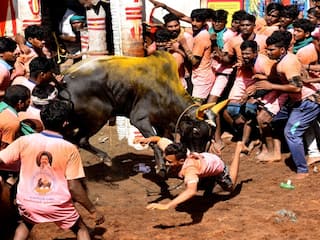 Avaniyapuram Jallikattu: மதுரை அவனியாபுரம் ஜல்லிக்கட்டில் மாடு முட்டி பார்வையாளர் ஒருவர் உயிரிழப்பு! 65 பேர் காயம்!
