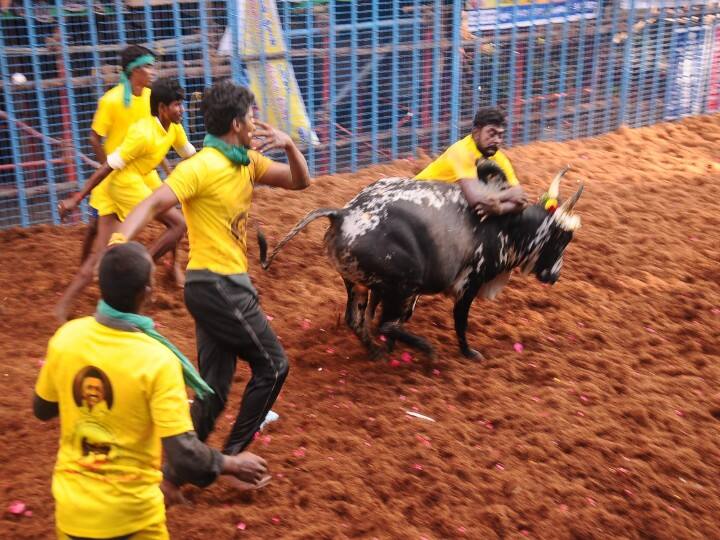 அவனியாபுரம் ஜல்லிக்கட்டு போட்டியினை அமைச்சர் மூர்த்தி, பி.டி.ஆர் பழனிவேல் தியாகராஜன் ஆகியோர் கொடி அசைத்து துவங்கி வைத்தனர்.