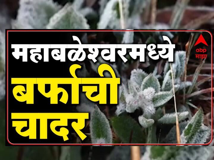 Maharashtra Weather Update : For the first time, zero degree Celsius temperature was recorded in Mahabaleshwar   Maharashtra Weather Update : महाबळेश्वरला काश्मीरचे स्वरूप; पहिल्यांदाच शून्य अंश सेल्सिअस तापमानाची नोंद!