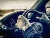 Road Safety: लोगों की सुरक्षा के लिए सरकार का बड़ा फैसला, अब 8 सीटर गाड़ियों में जरूरी होंगे 6 एयर बैग