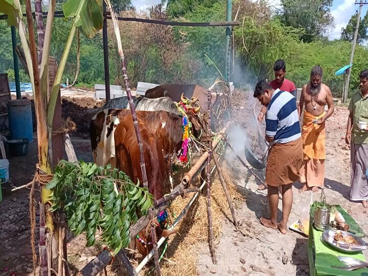 Matupongal celebration at Thiruvarur Sai Cow Monastery திருவாரூர் சாய் பசு மடத்தில் மாட்டுப்பொங்கல் கொண்டாட்டம்