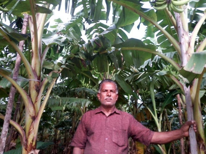 Pongal 2022|  உழவு தொழில் உபகரணங்களை இன்றும் கூட பத்திரமாக பாதுகாத்து வரும் குமரி மாவட்ட விவசாயி