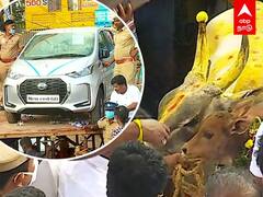 Jallikattu 2022 : பாலமேடு ஜல்லிக்கட்டு... காரை பரிசாக வென்ற சூறாவளி காளை!