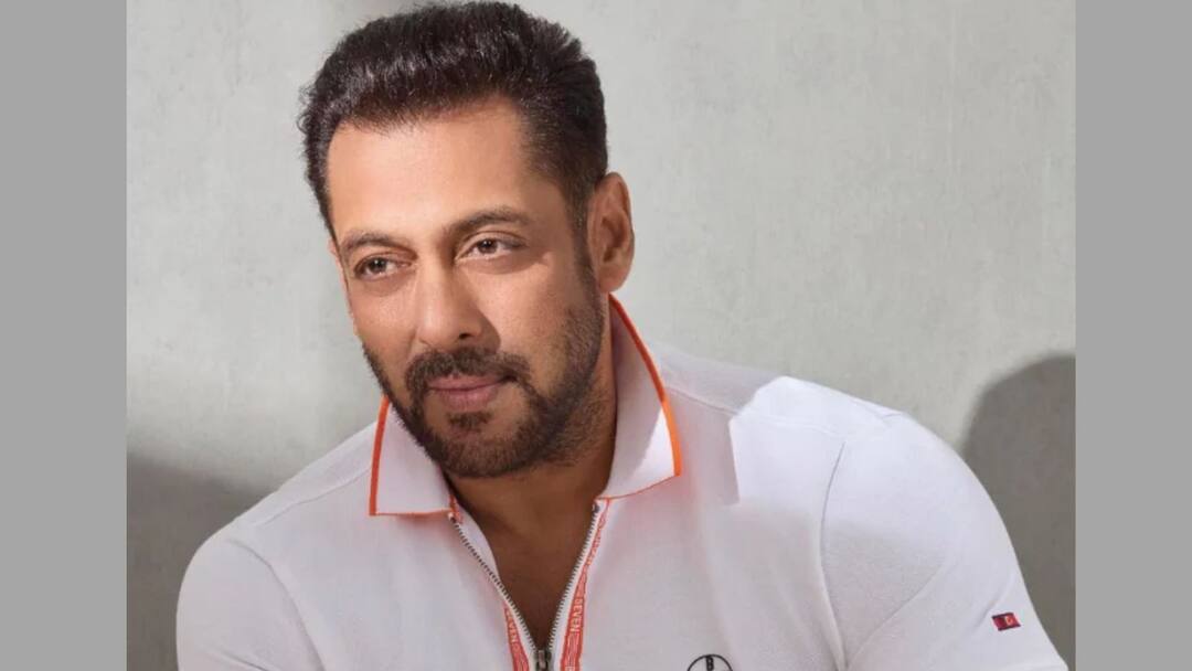 Salman Khan Files Plea For Interim Order In Defamation Suit Against Neighbour Salman Khan: ক্ষুব্ধ ভাইজান, প্রতিবেশীর বিরুদ্ধে মামলা সলমন খানের