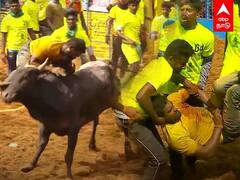 Jallikkattu 2022: தூக்கியெறிந்த காளை... காயமடைந்த இளைஞர்