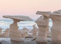 Viral Photos: అక్కడ ఏం జరుగుతుందో అర్థం కావటం లేదు...రాత్రికి రాత్రే ఇలా| ABP Desam