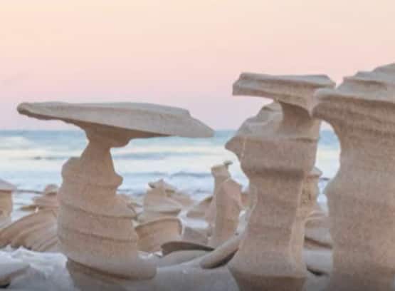 Viral Photos: అక్కడ ఏం జరుగుతుందో అర్థం కావటం లేదు...రాత్రికి రాత్రే ఇలా| ABP Desam