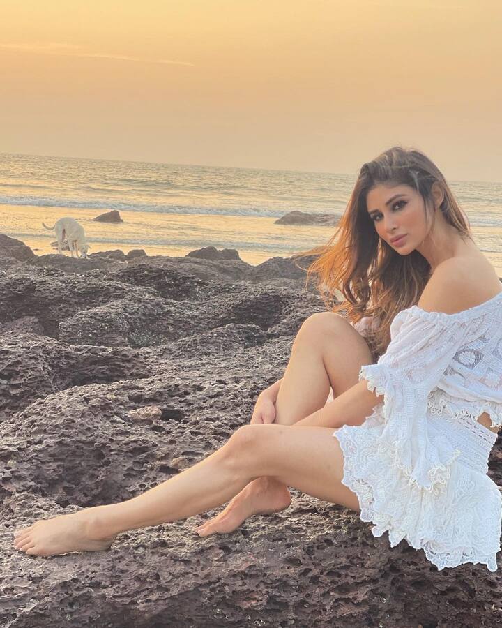 गोव्यात हा विवाहसोहळा रंगणार आहे.