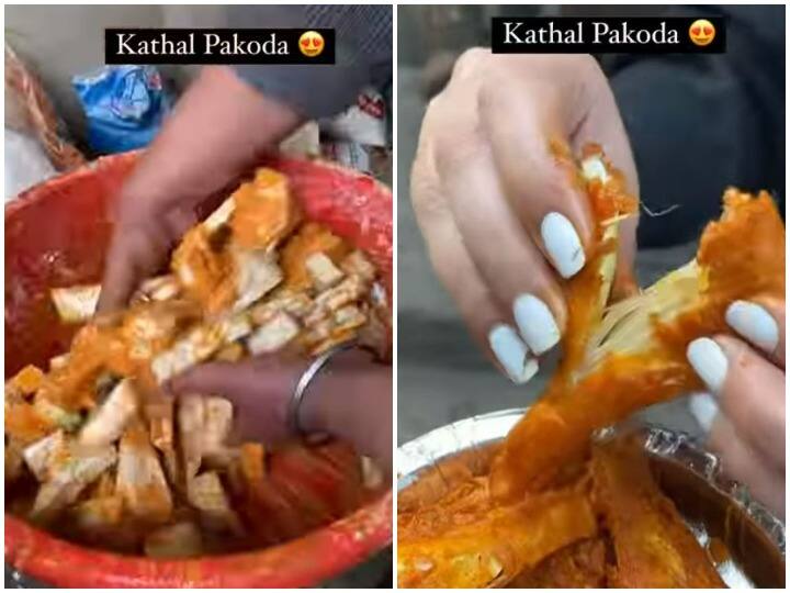 Seeing Kathal Pakoda on social media users expressed their desire to eat Watch: कटहल के पकौड़े देख यूजर्स के मुंह में आ रहा पानी, हर किसी ने जताई खाने की इच्छा